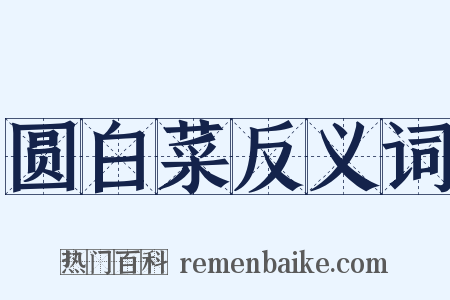 圆白菜反义词是什么意思的图片